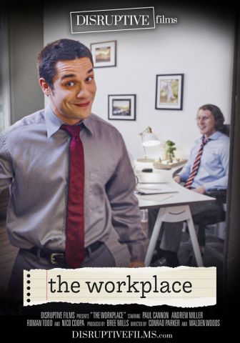 The Workplace DVD (S)